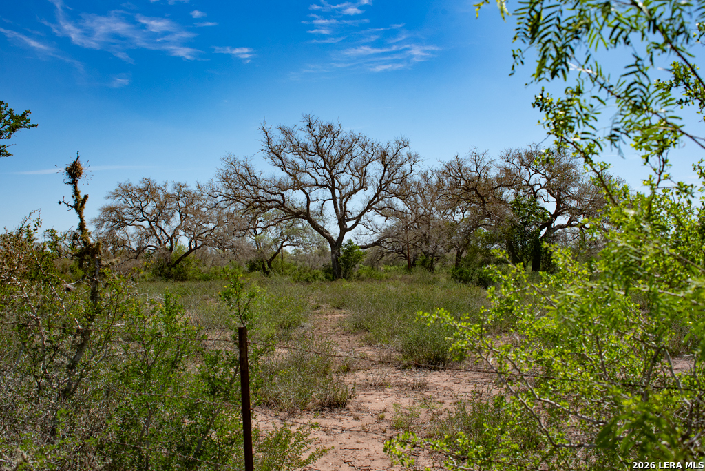 main property photo 36