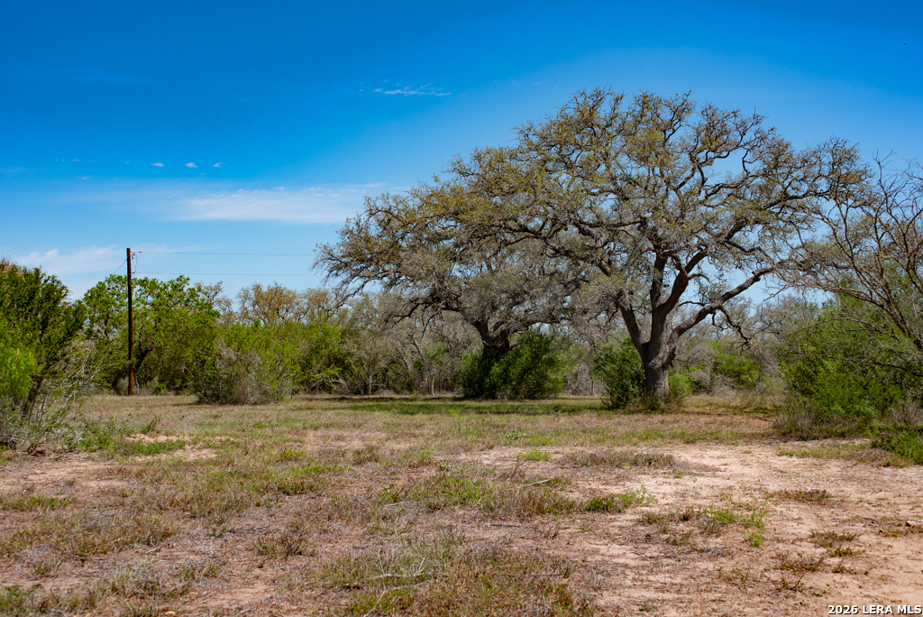 main property photo 37