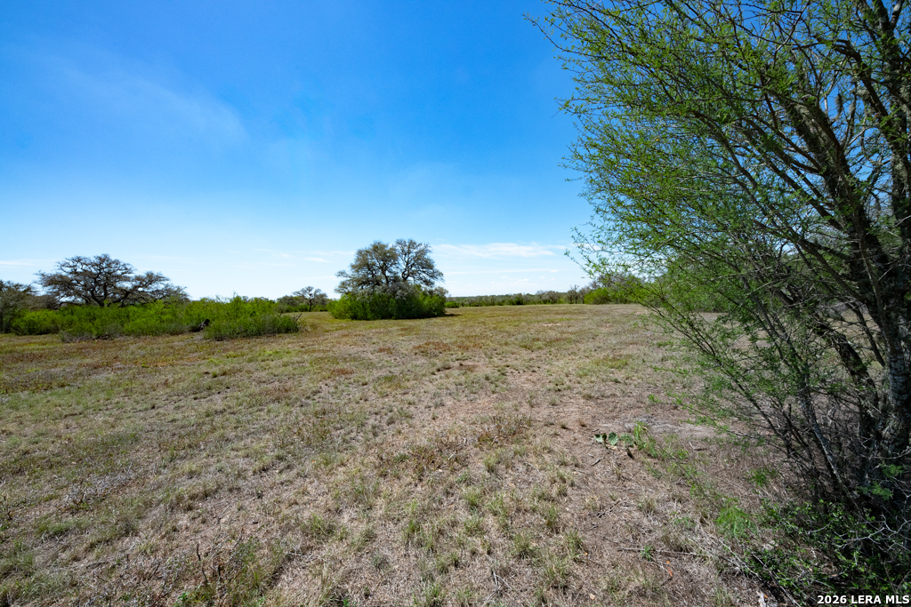 main property photo 45