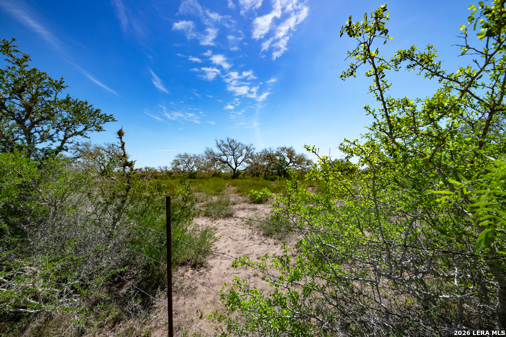main property photo 46
