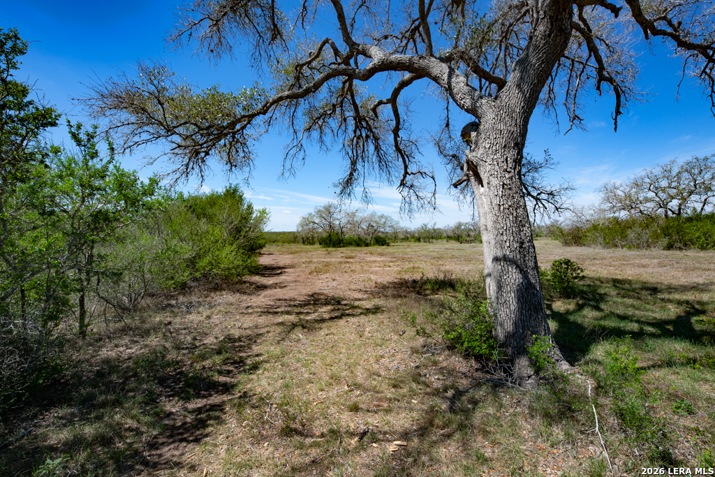 main property photo 47