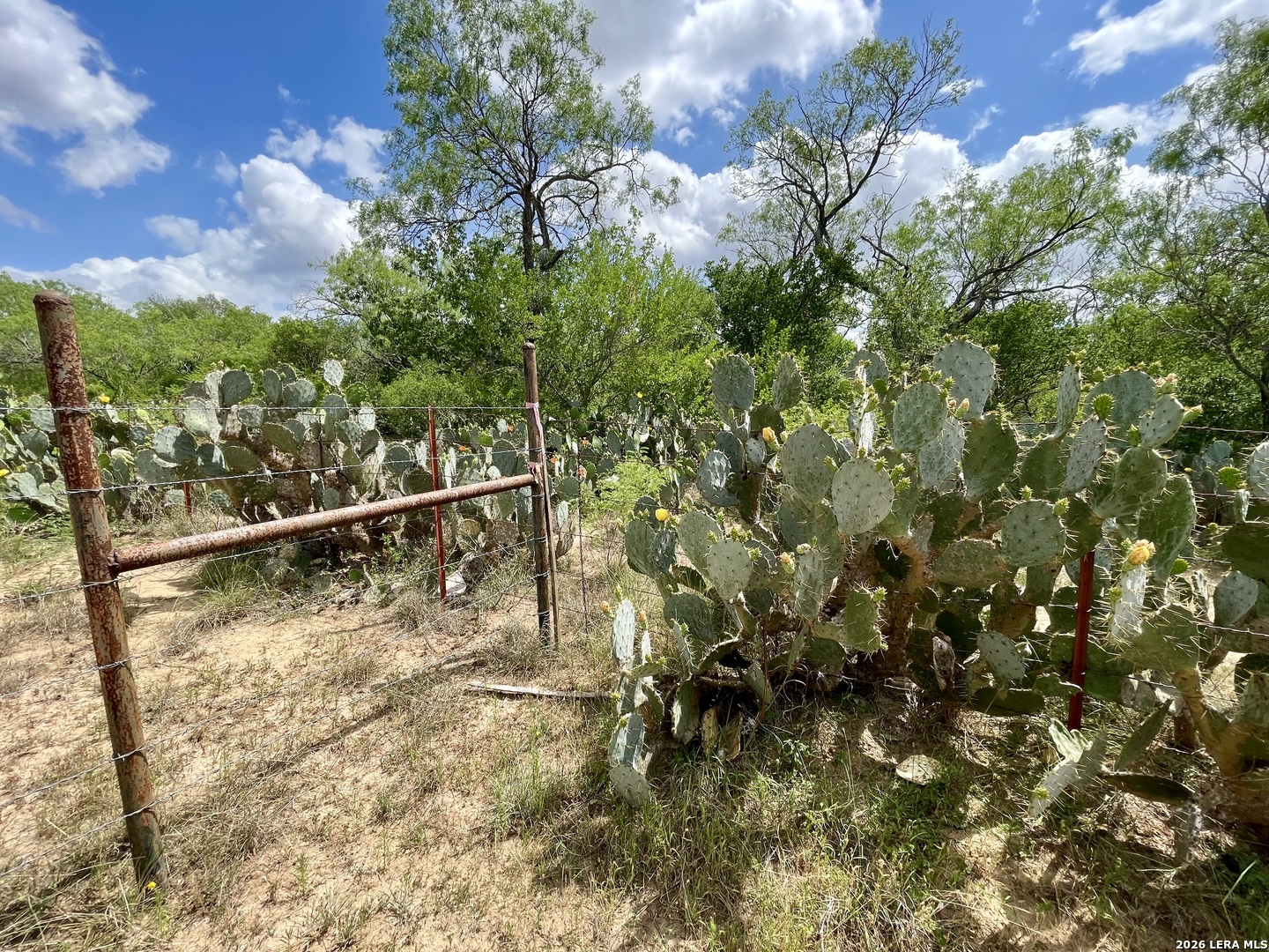 main property photo 11