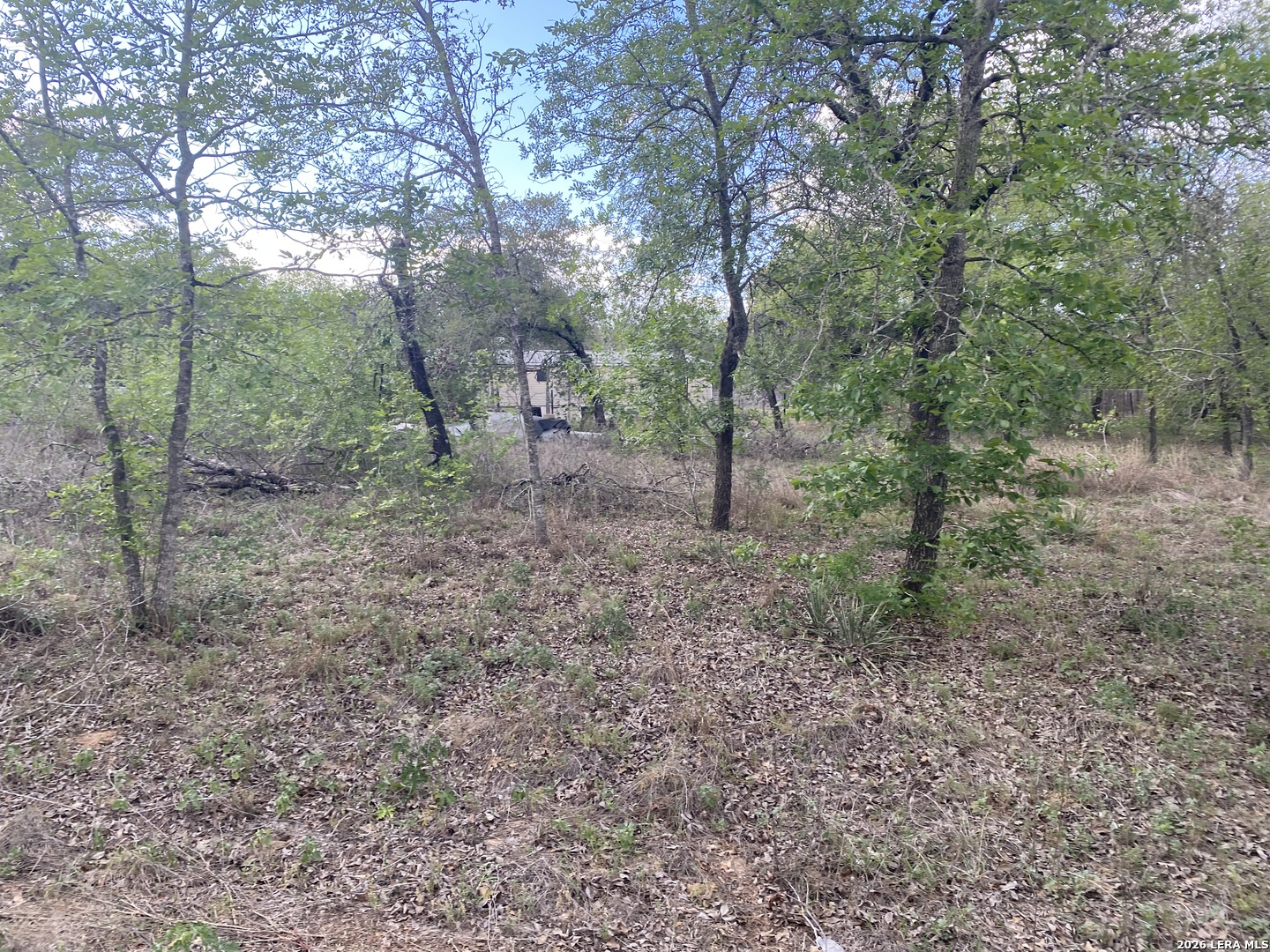main property photo 12