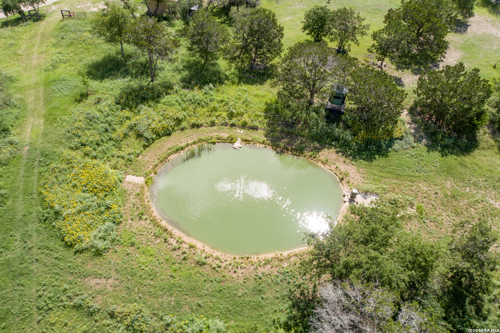 main property photo 39