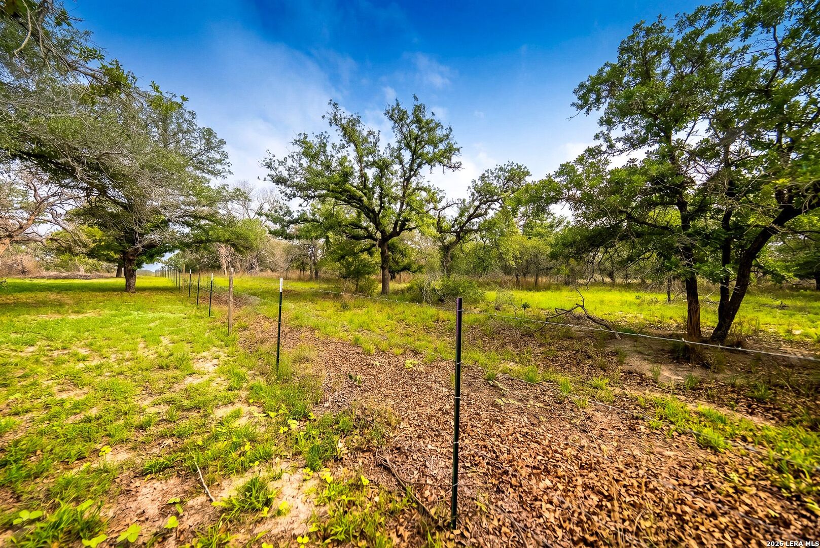 main property photo 52