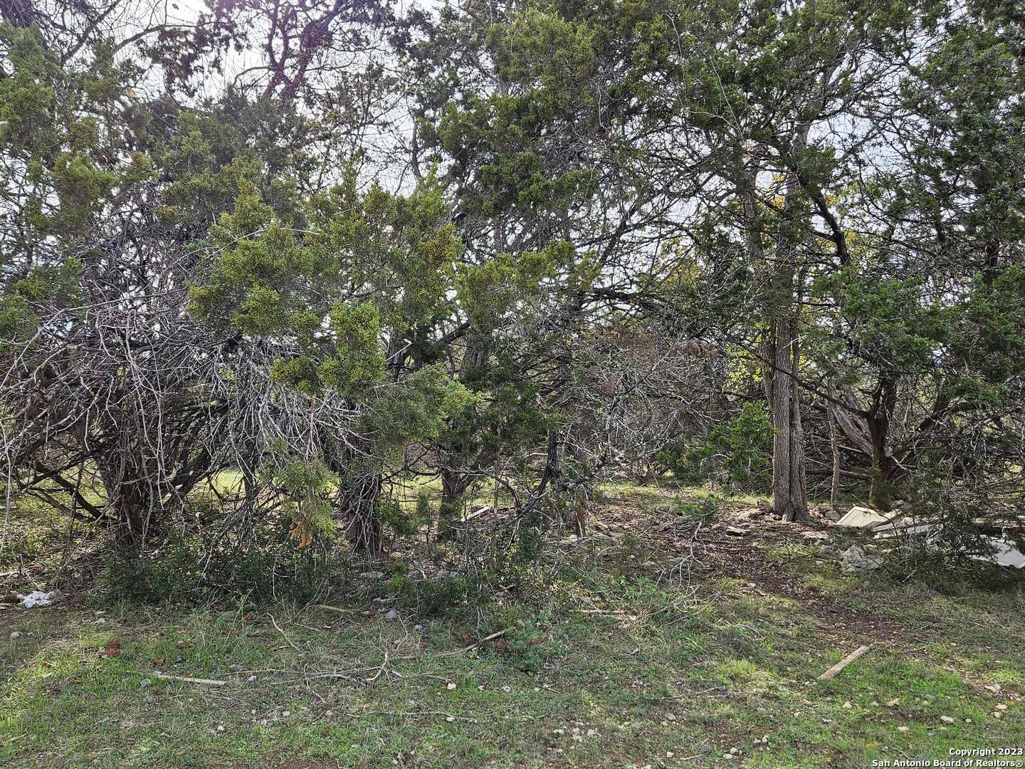 main property photo 6