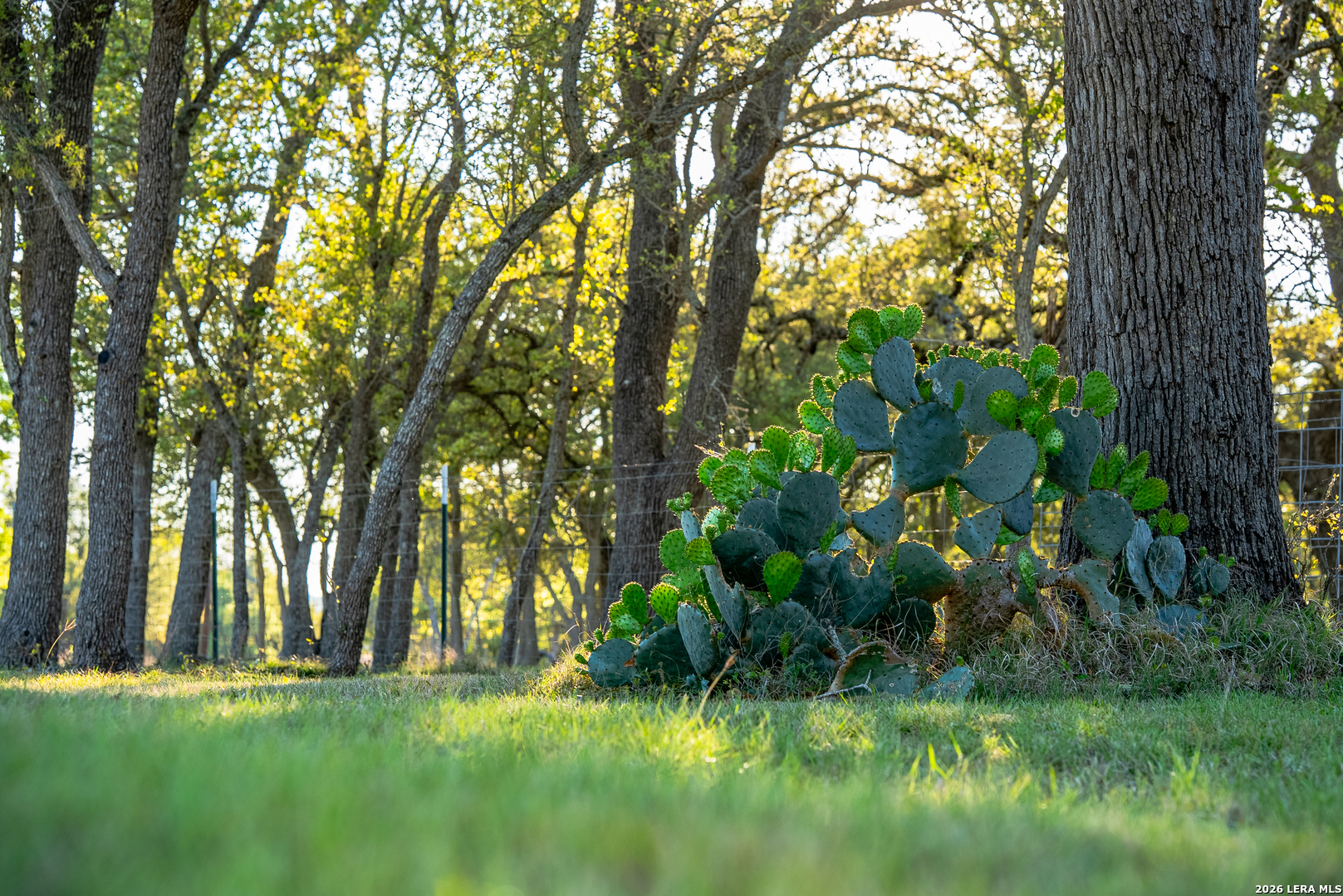 main property photo 47