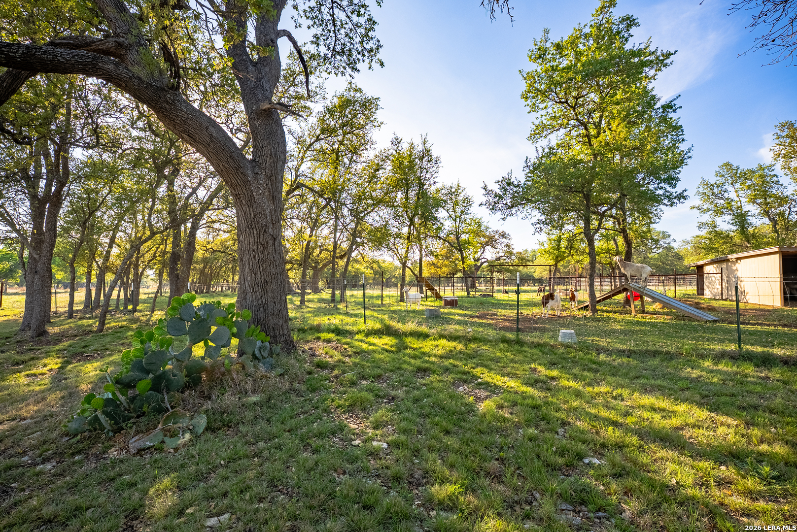main property photo 48
