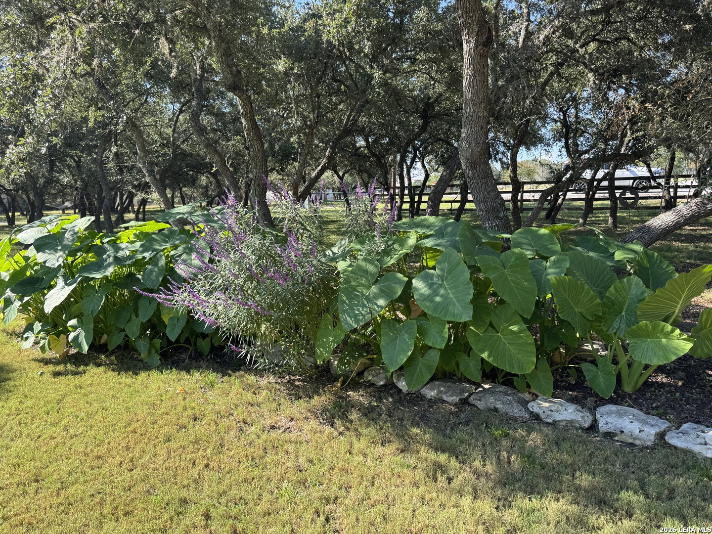 main property photo 57
