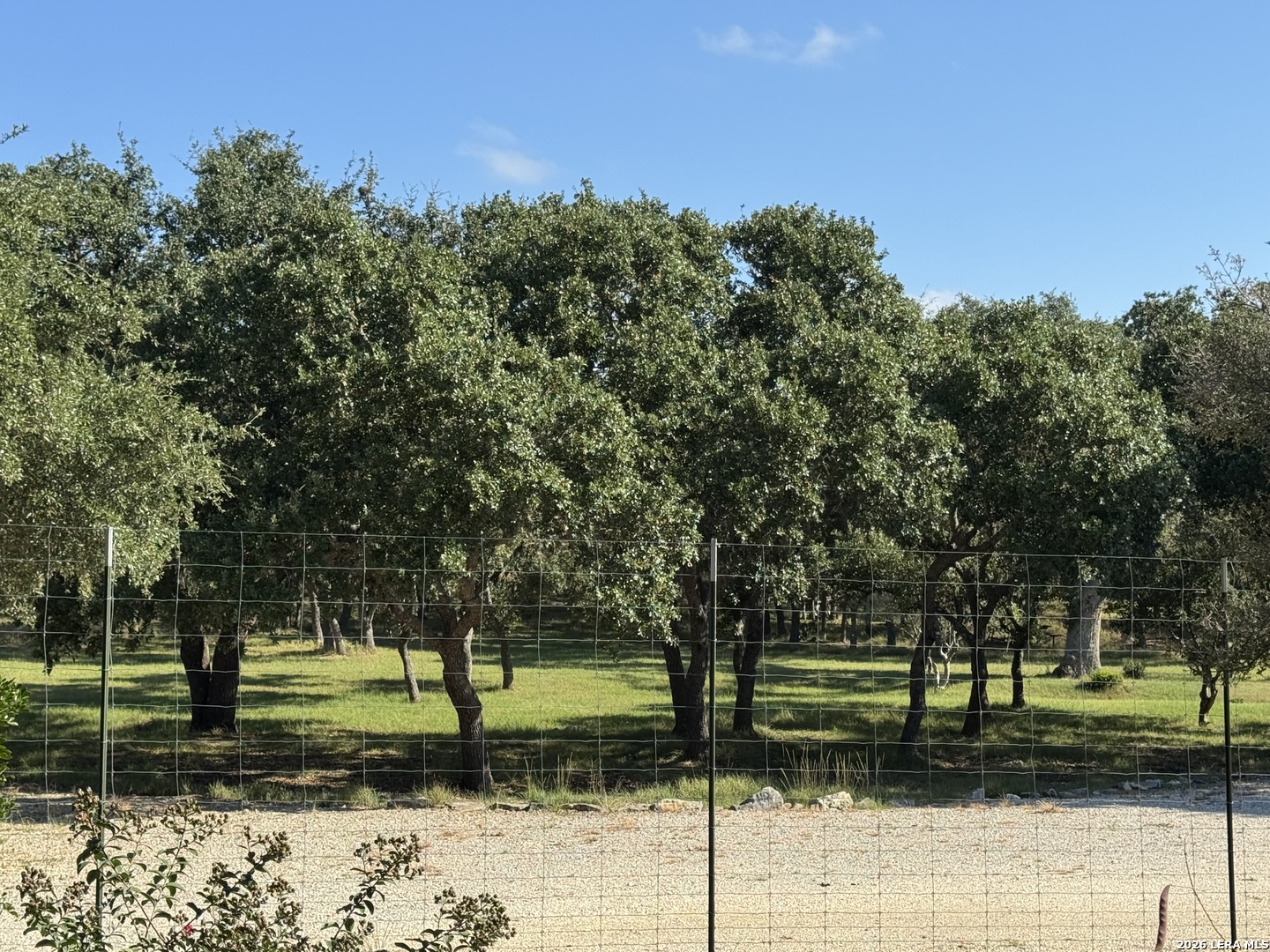 main property photo 64