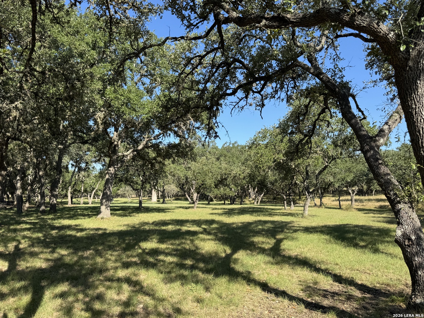 main property photo 65