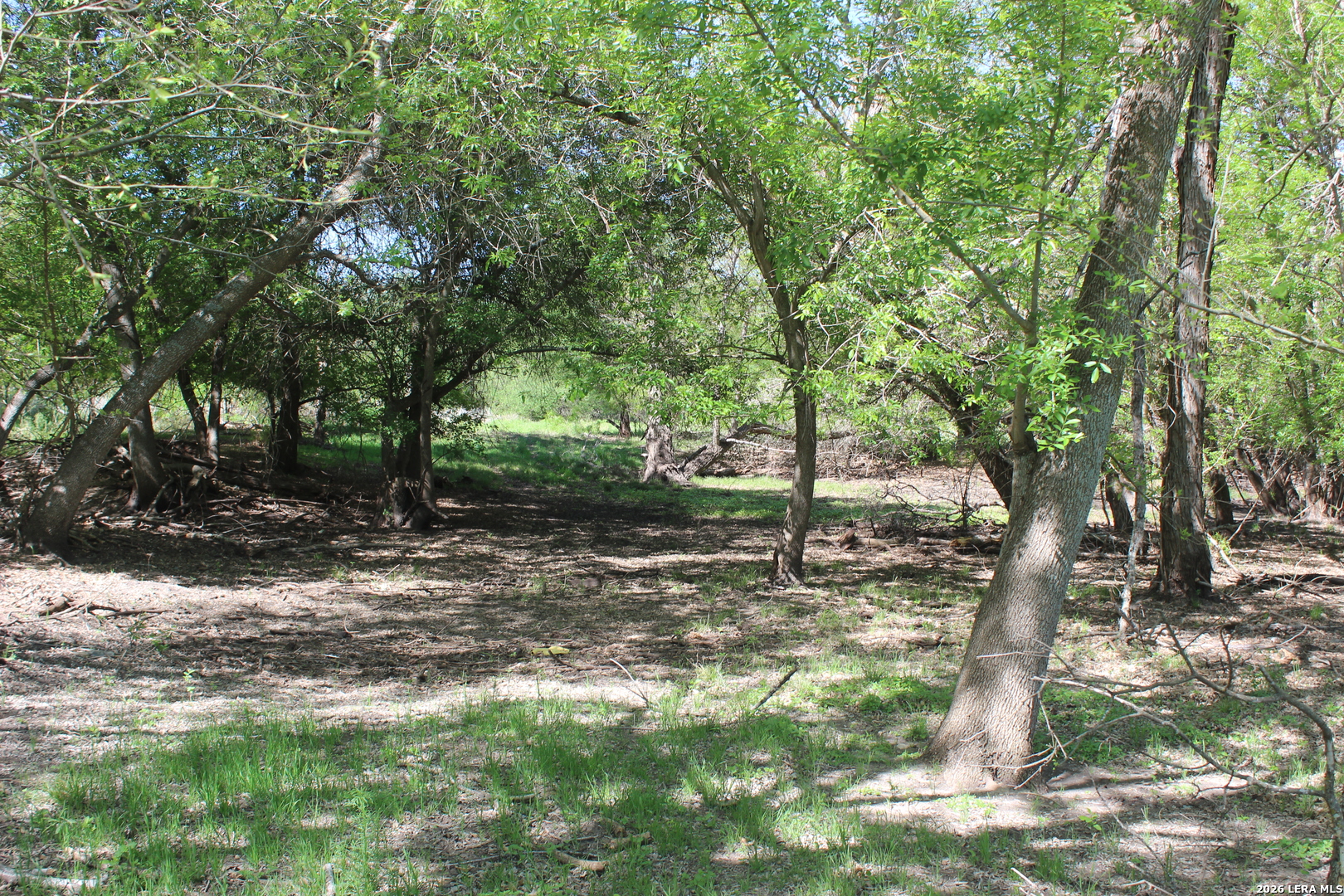main property photo 15