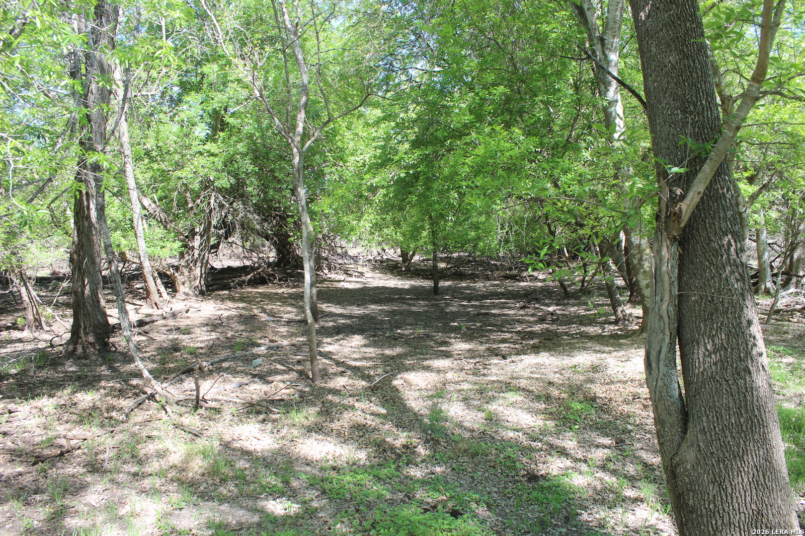 main property photo 16