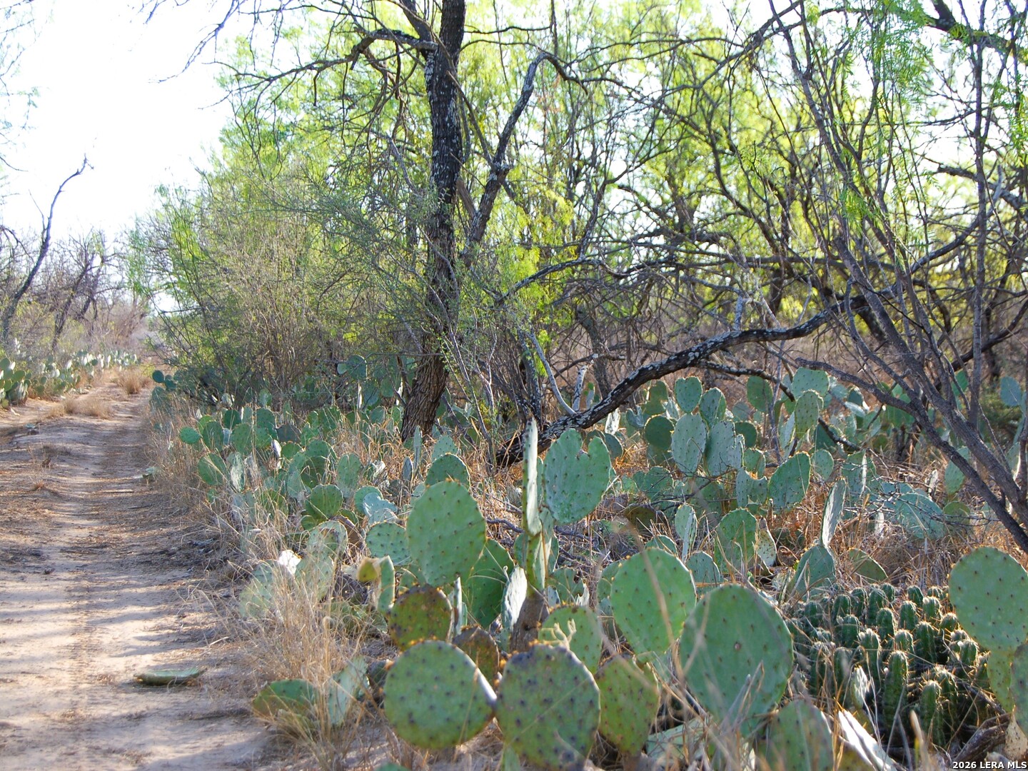 main property photo 15