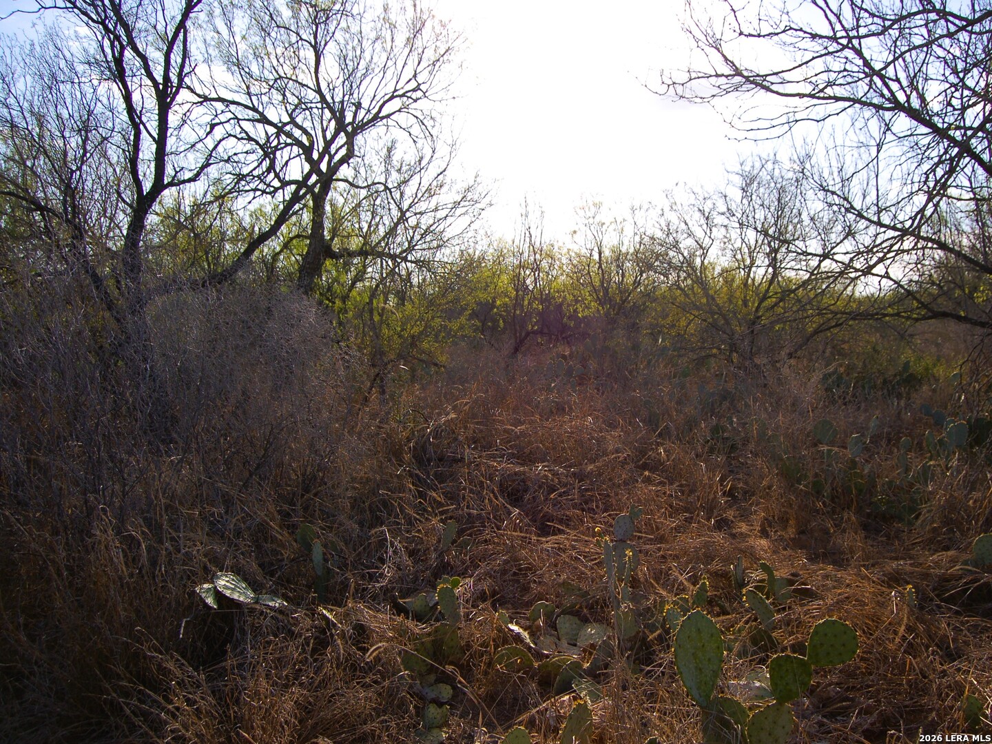 main property photo 18