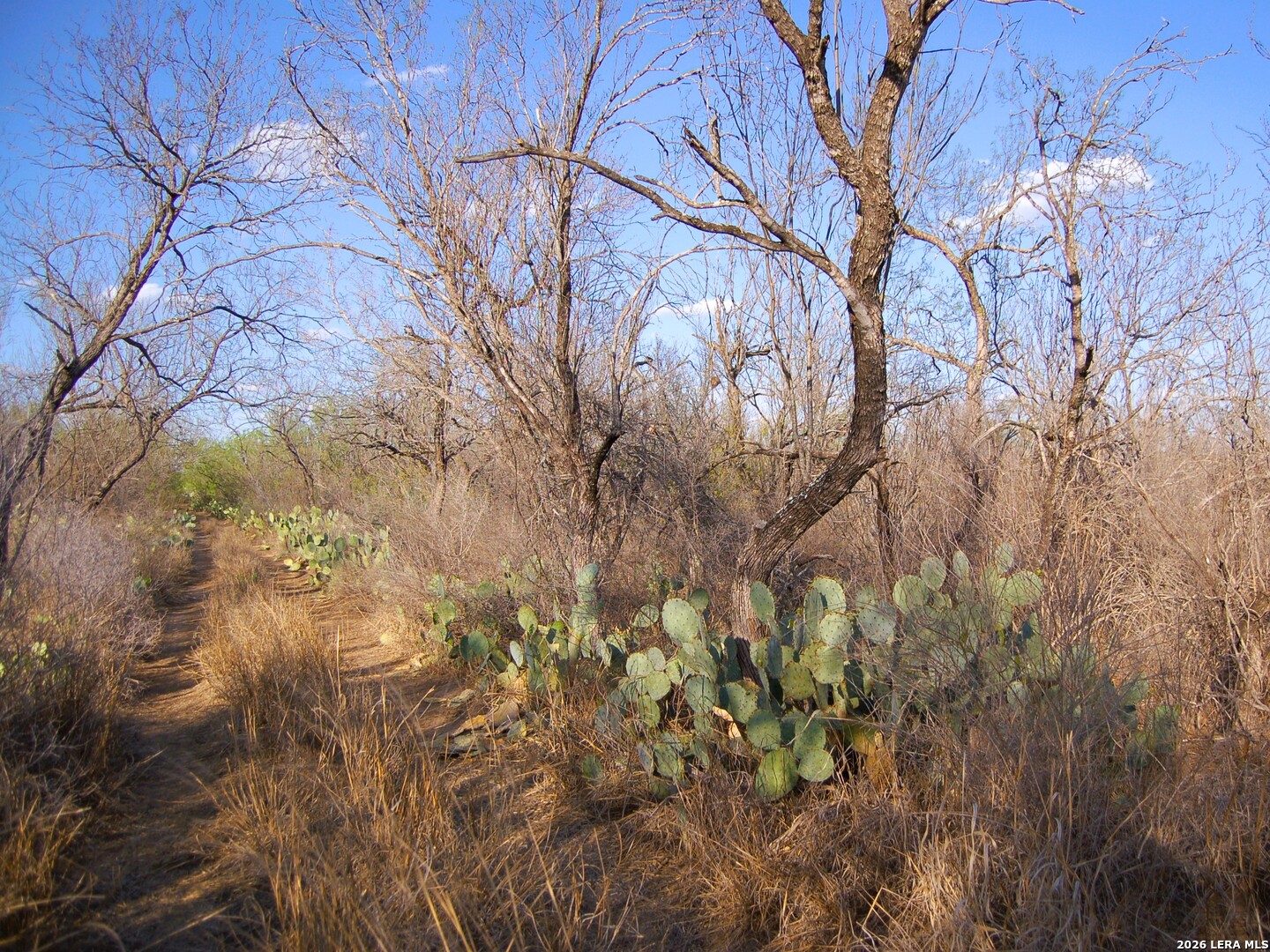 main property photo 19