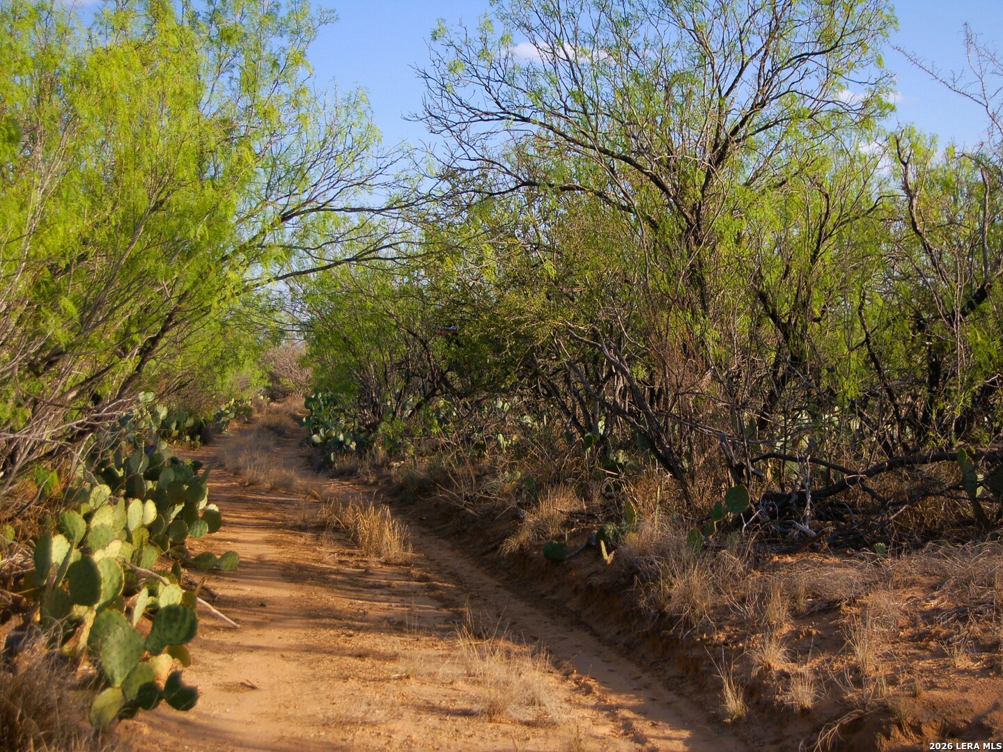 main property photo 23