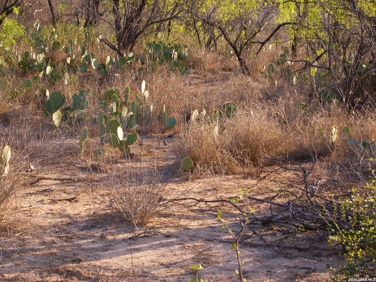main property photo 36