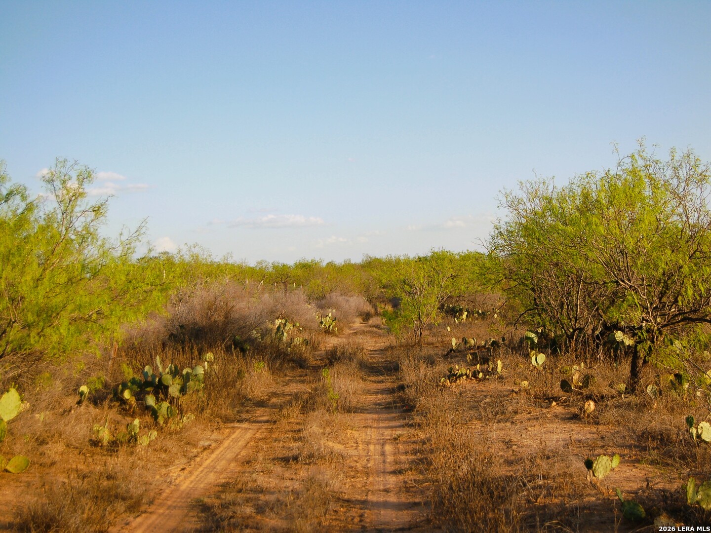 main property photo 39