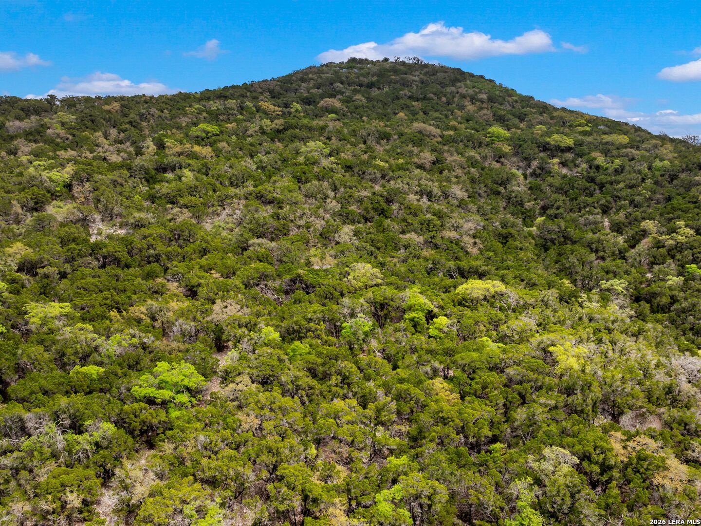 main property photo 69
