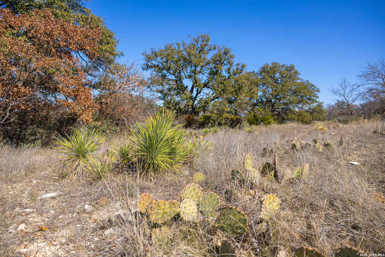 main property photo 52