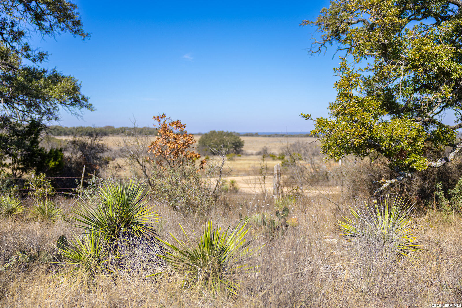 main property photo 53