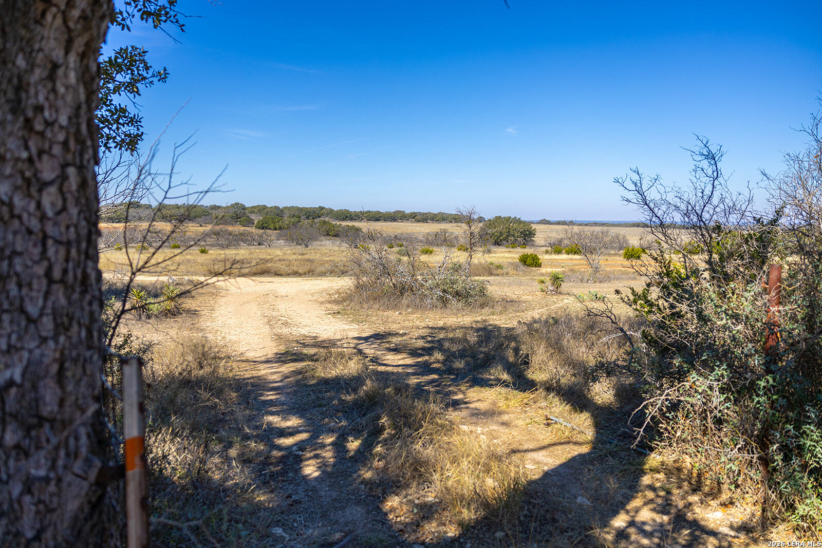 main property photo 54