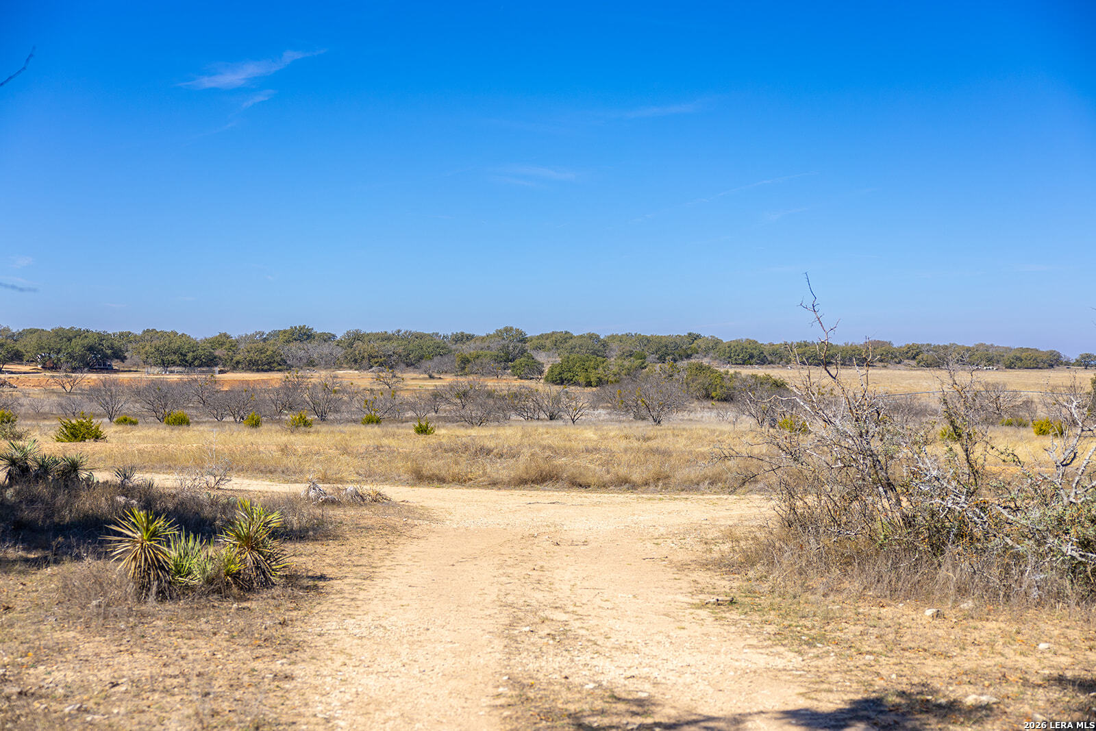 main property photo 55