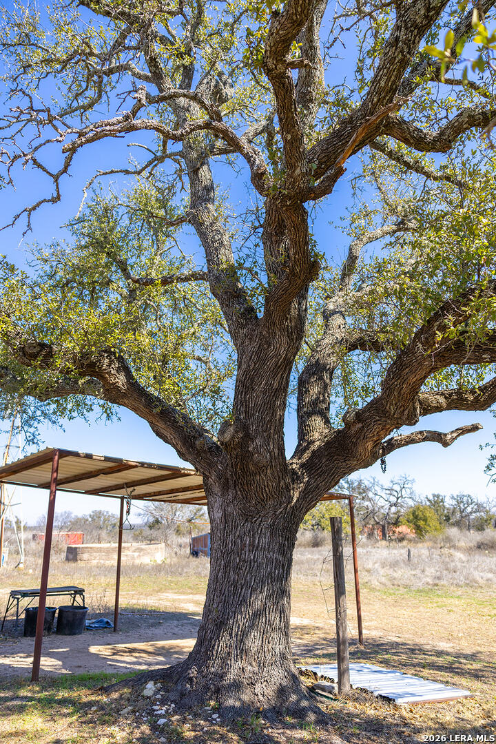 main property photo 84