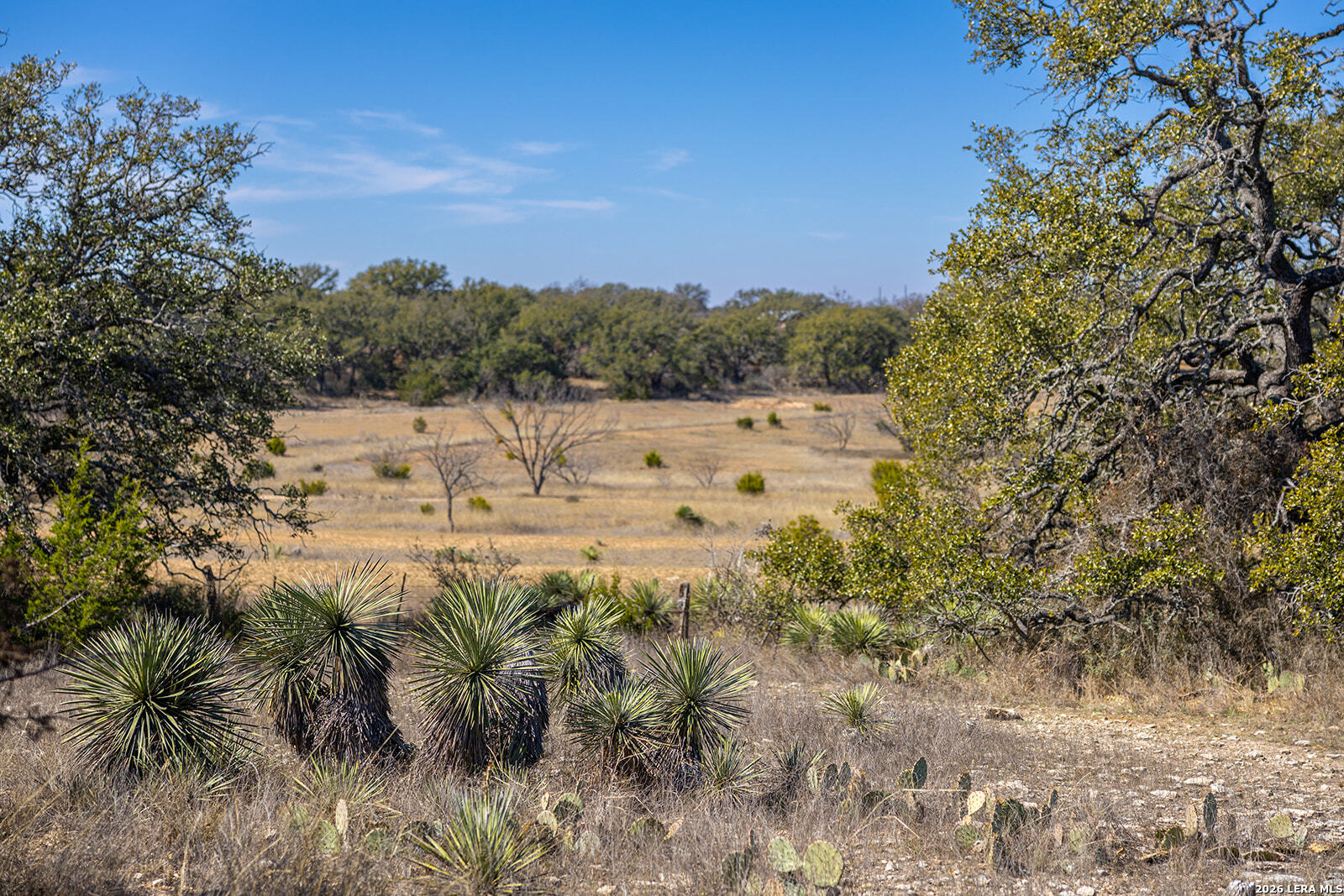 main property photo 60