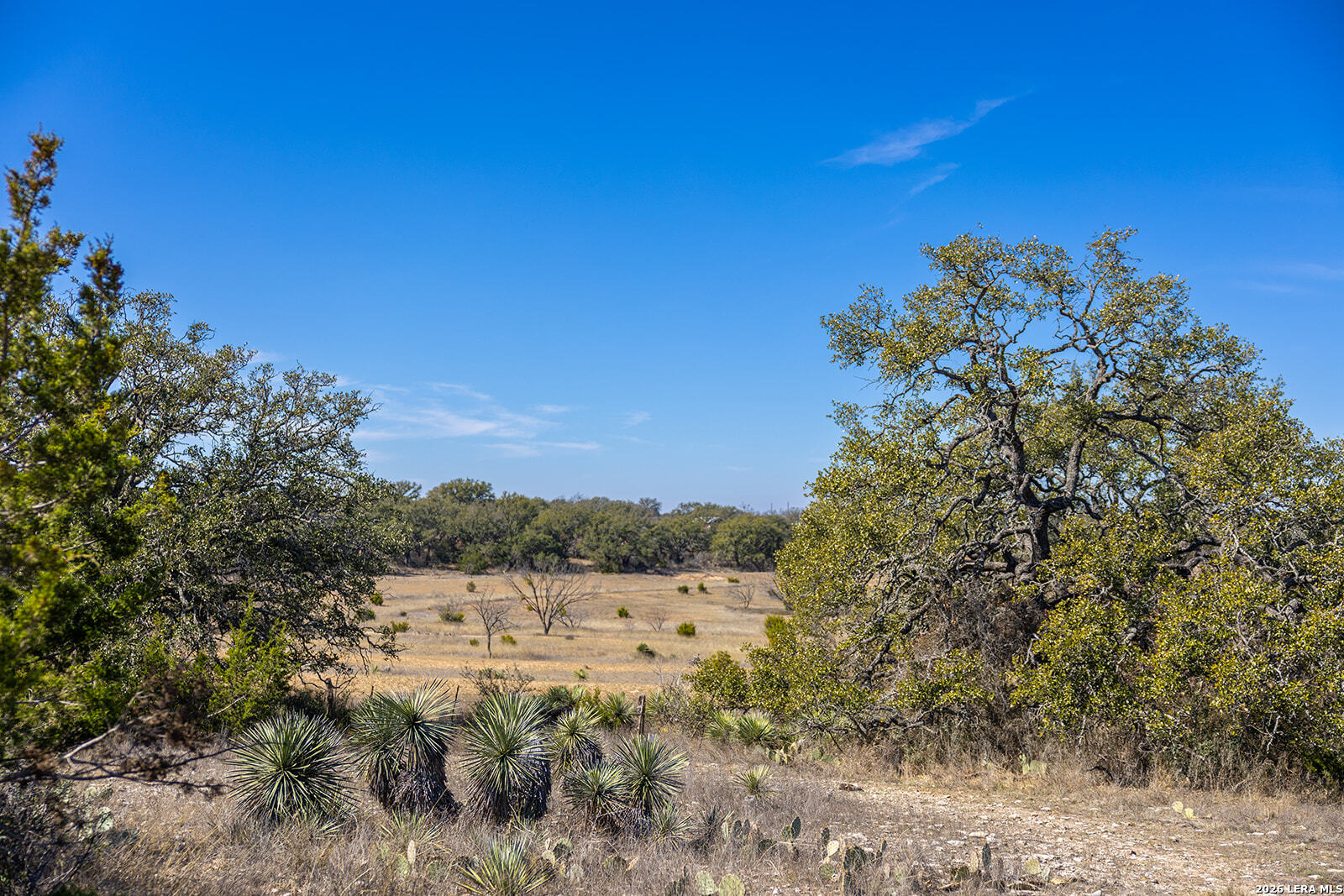 main property photo 61