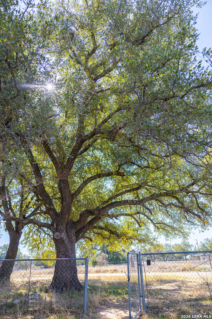 main property photo 75