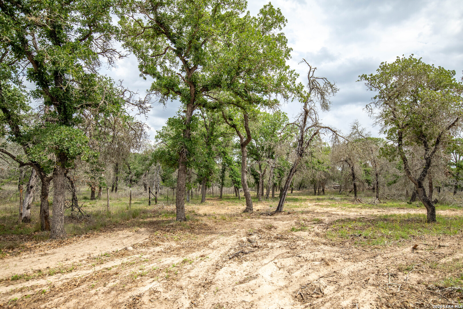 main property photo 21
