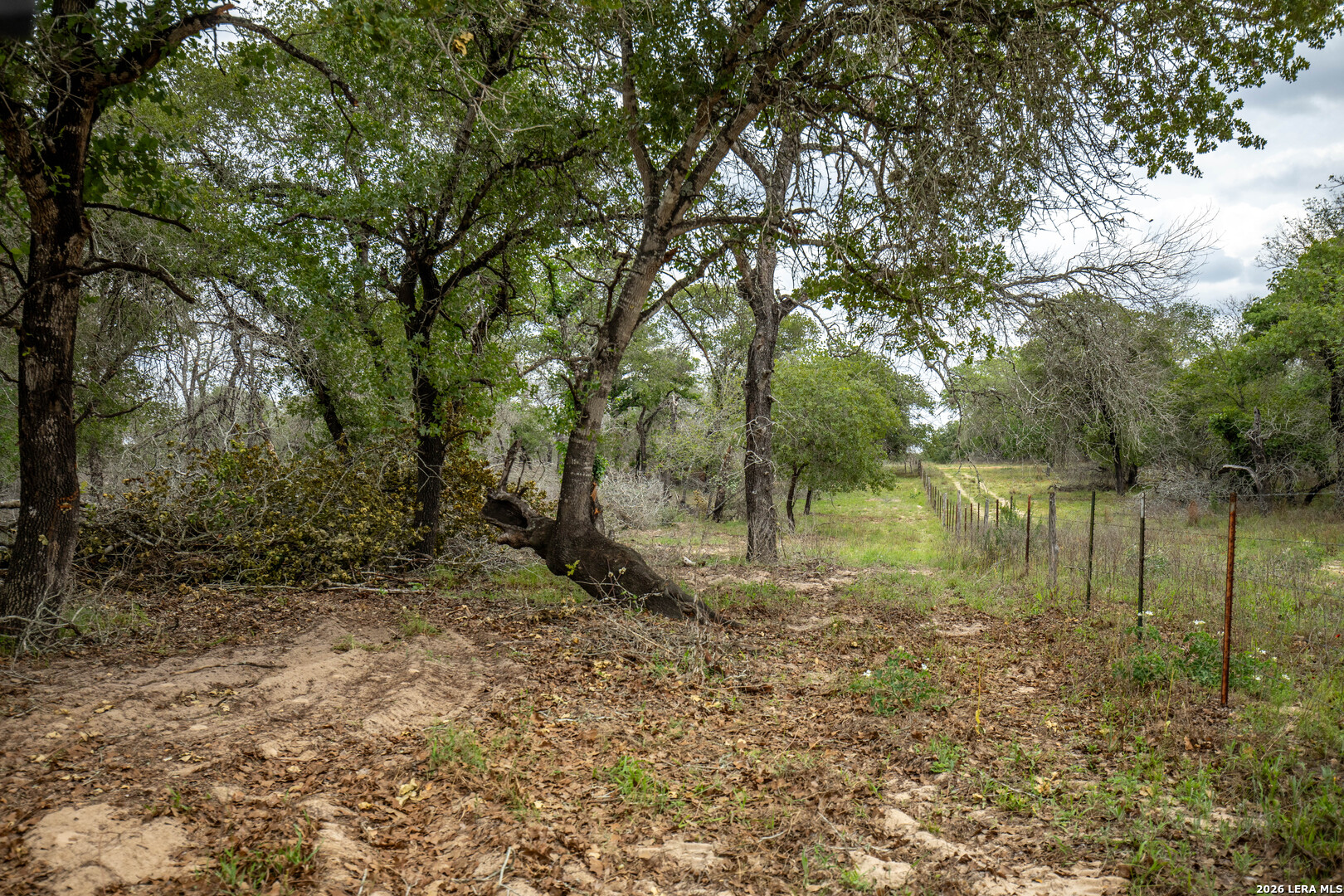 main property photo 30