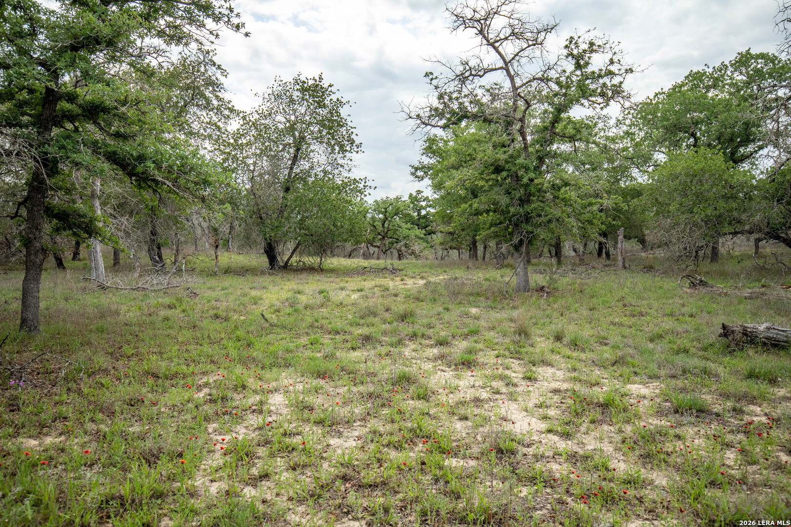 main property photo 43