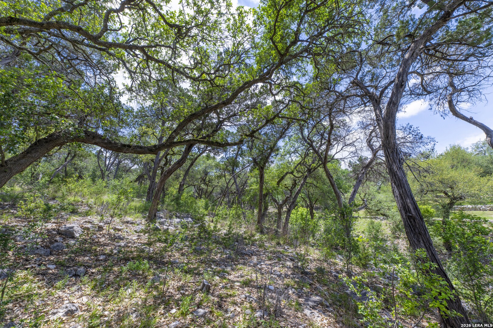 main property photo 89