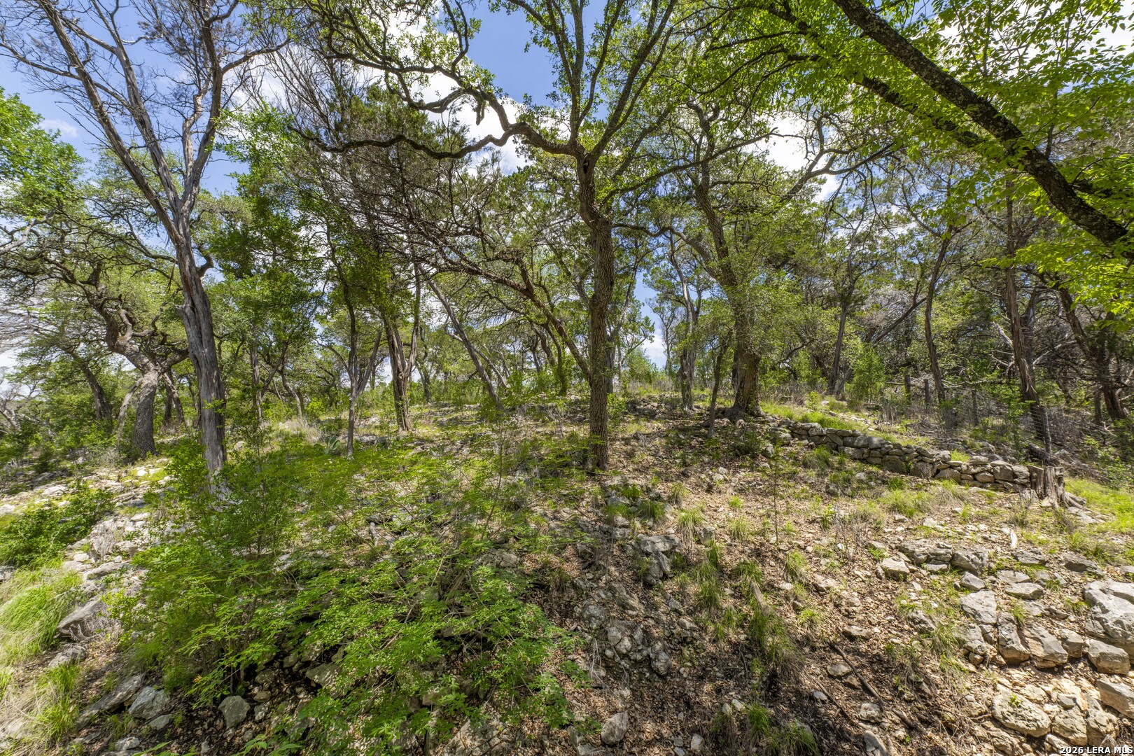 main property photo 90