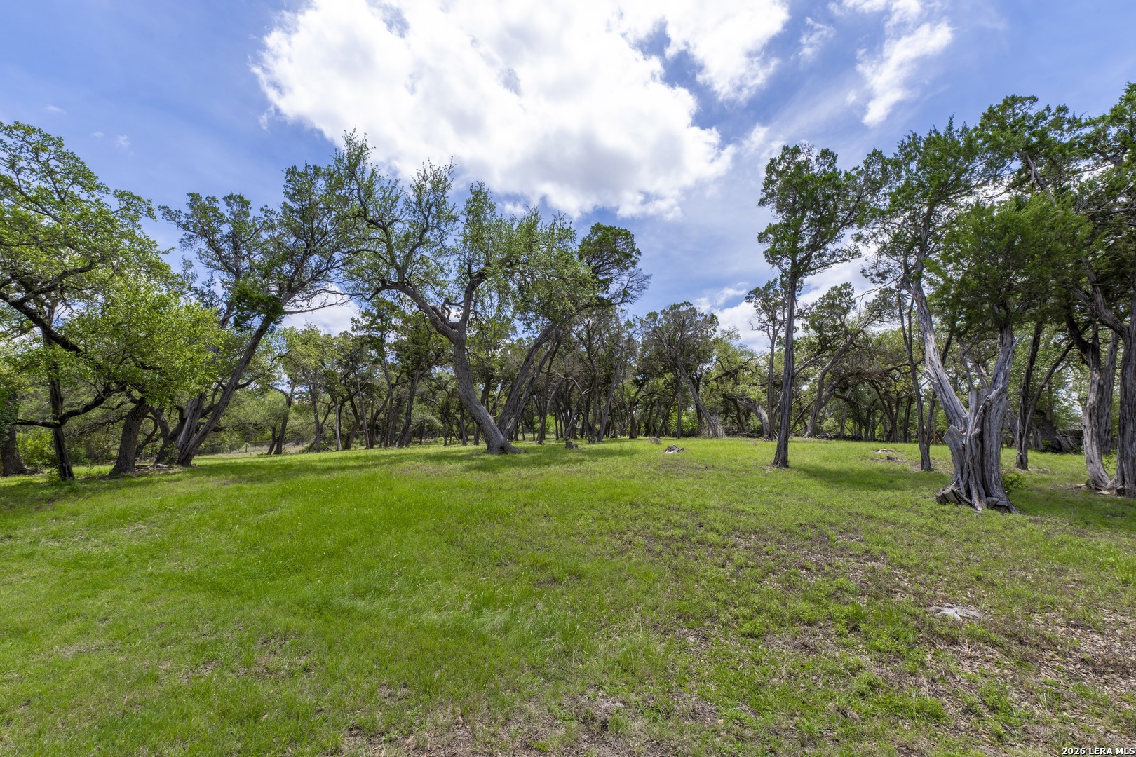 main property photo 94
