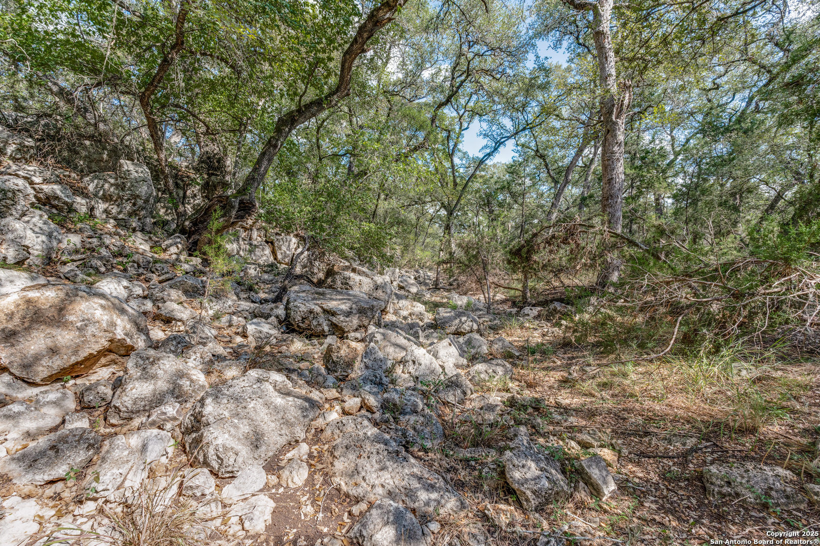 main property photo 38