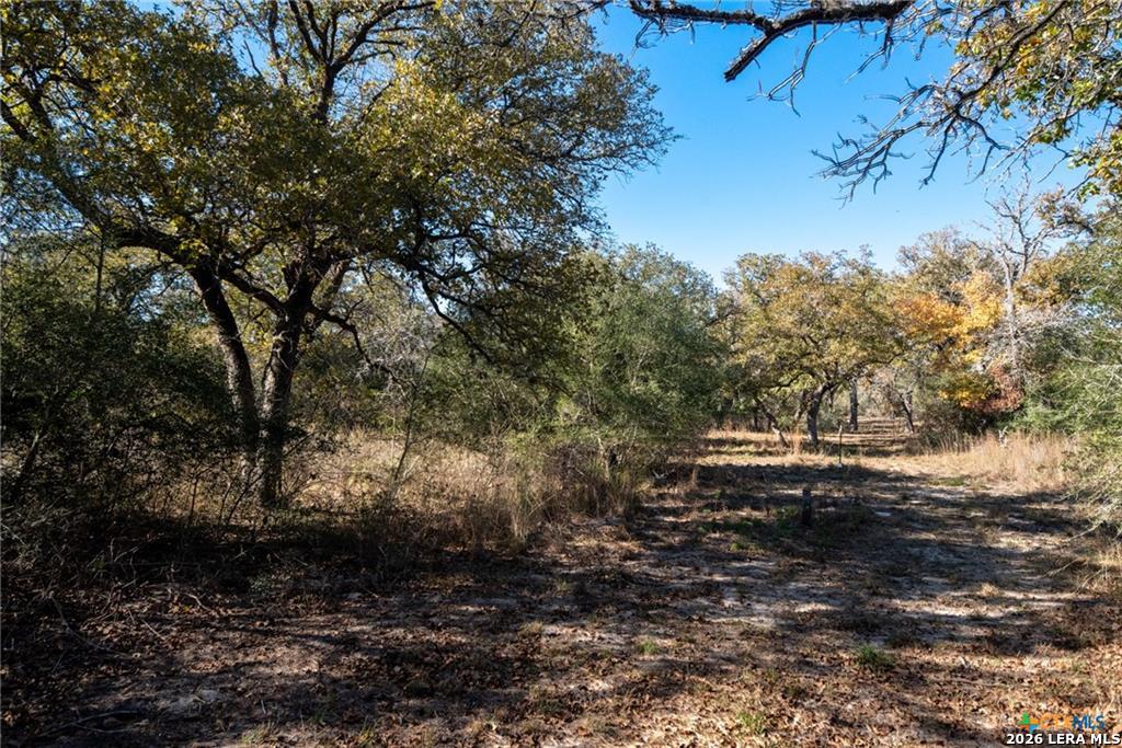 main property photo 17
