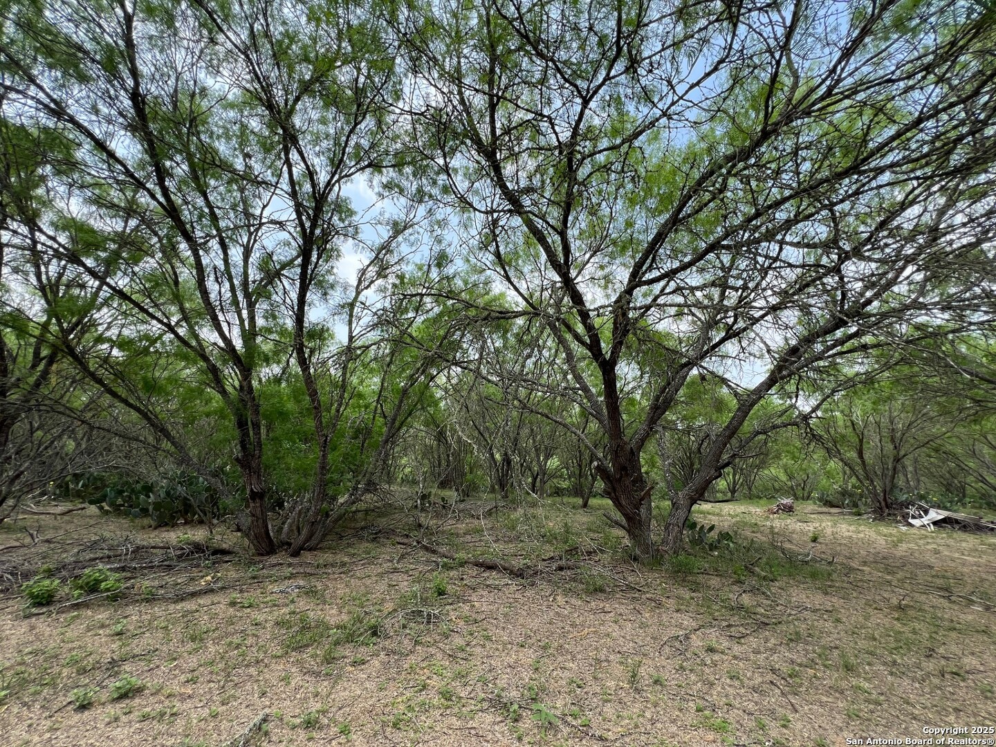 main property photo 10