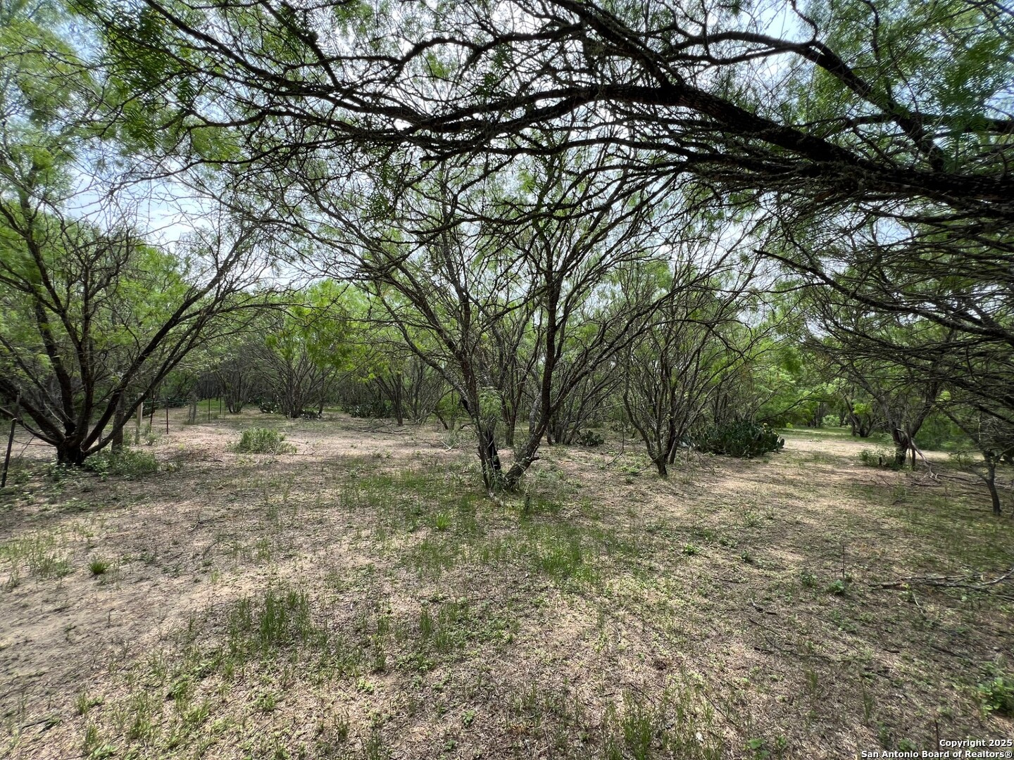 main property photo 11