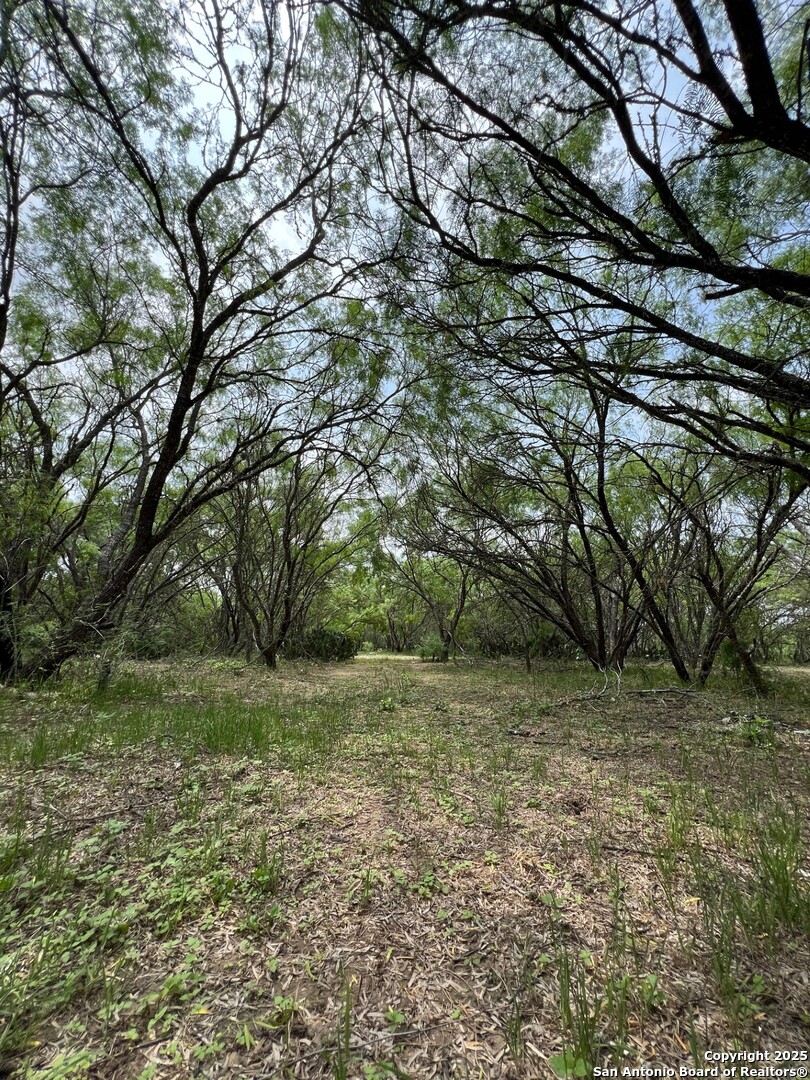 main property photo 18