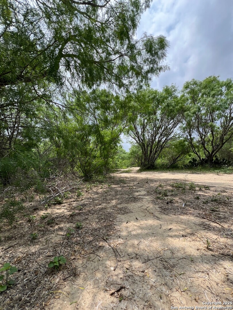 main property photo 19