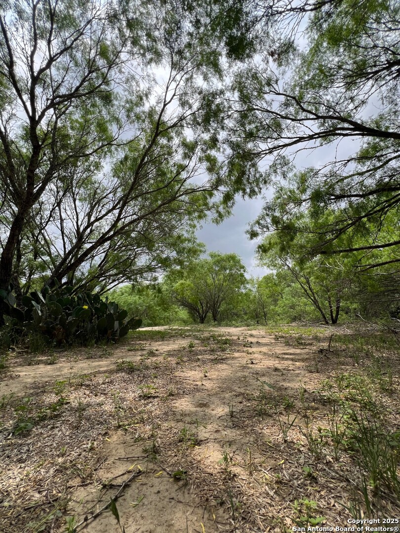 main property photo 20