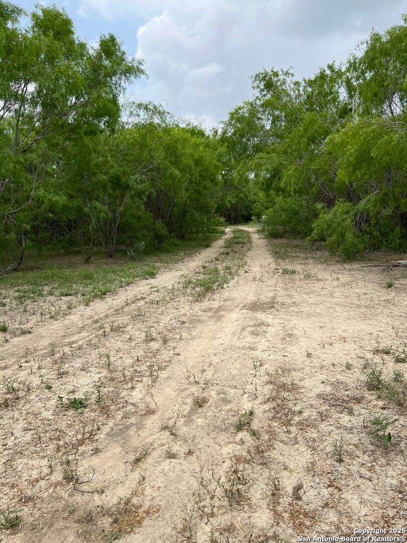 main property photo 21