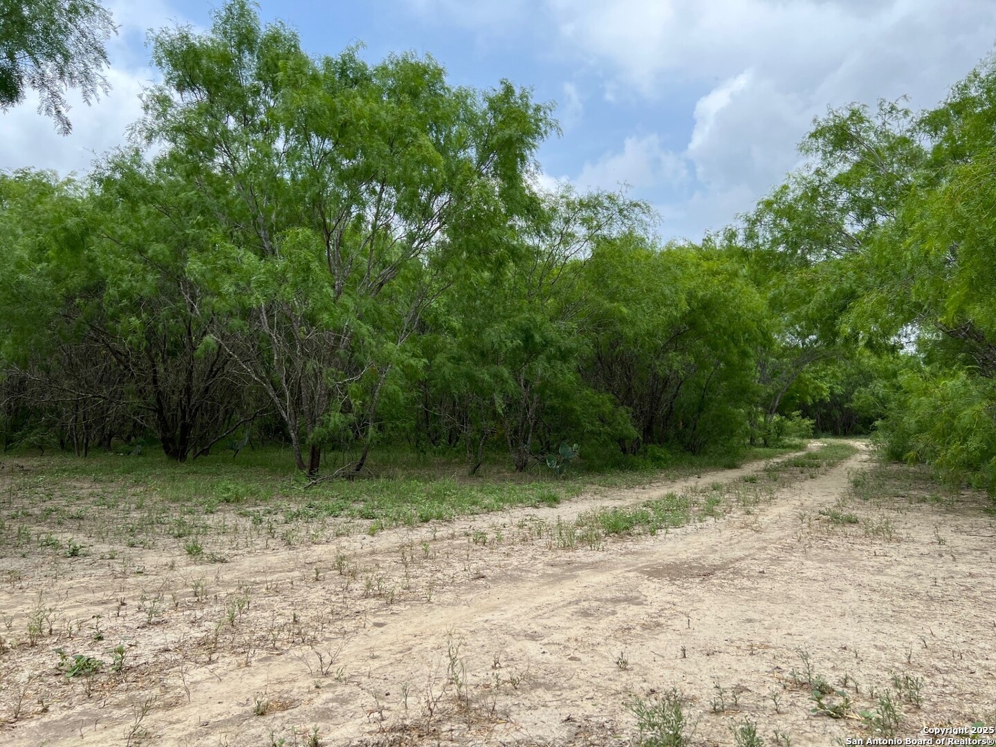 main property photo 22