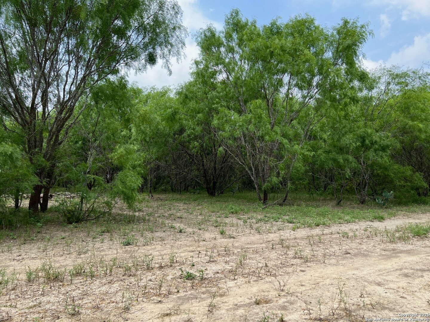 main property photo 23