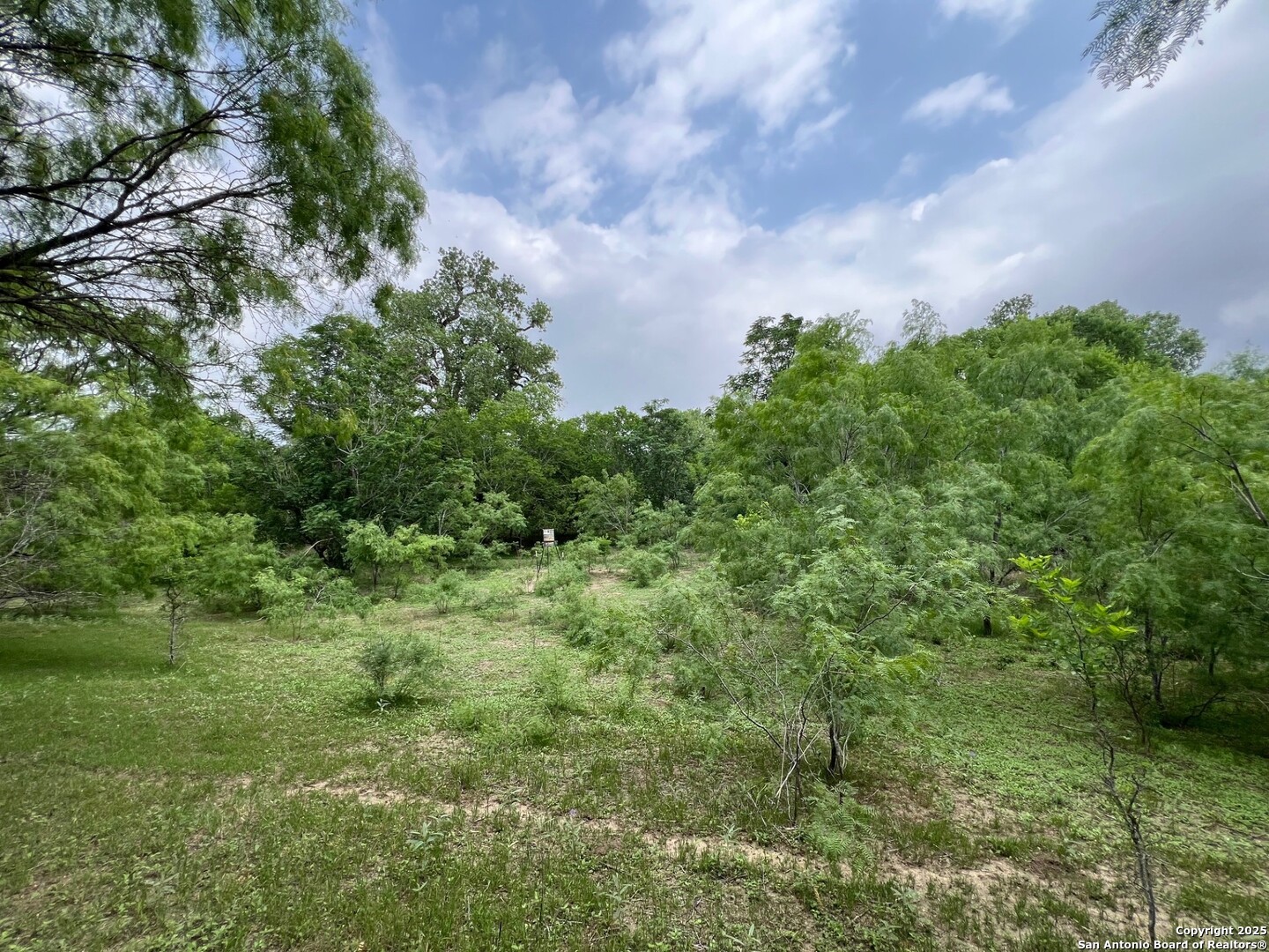 main property photo 6