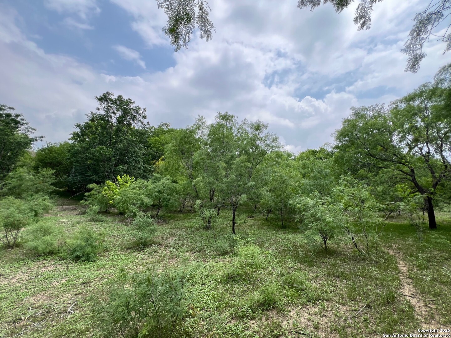 main property photo 8